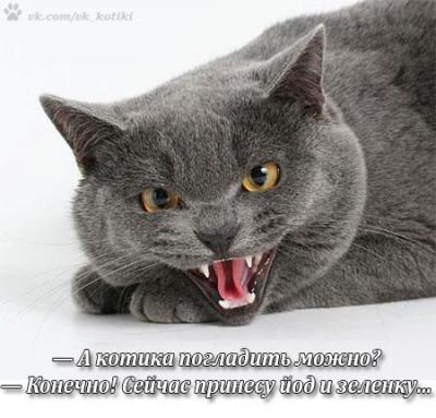 Прикрепленное изображение: lnTV7ev08eM.jpg